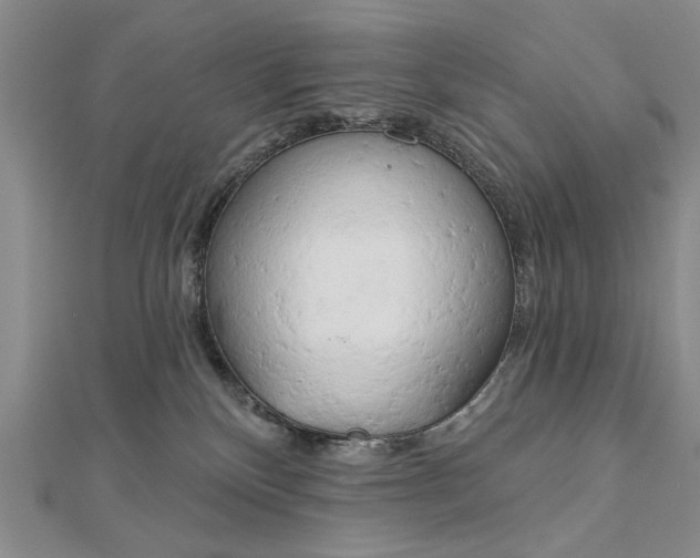 X0000112740136200909031514