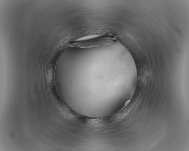 X0000112740139200909031514