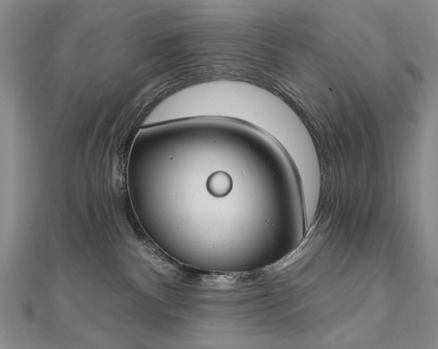 X0000112740140200909031514