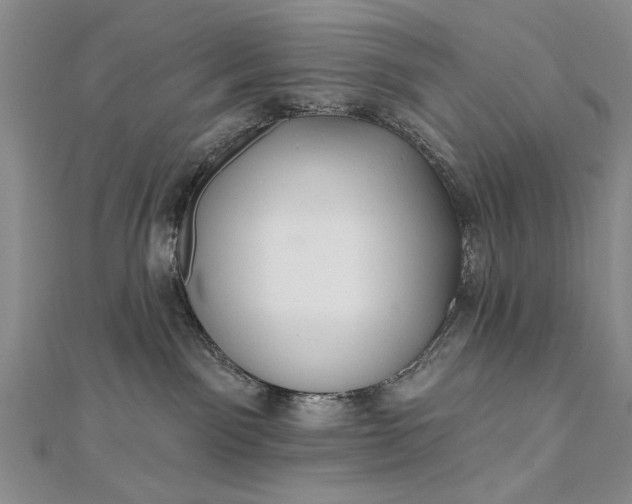 X0000112740141200909031514