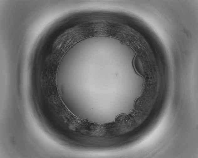 X0000112740143200909031514