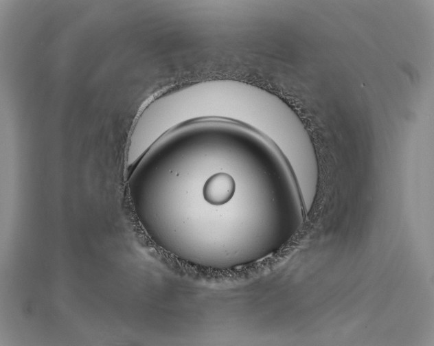 X0000112740144200909031513