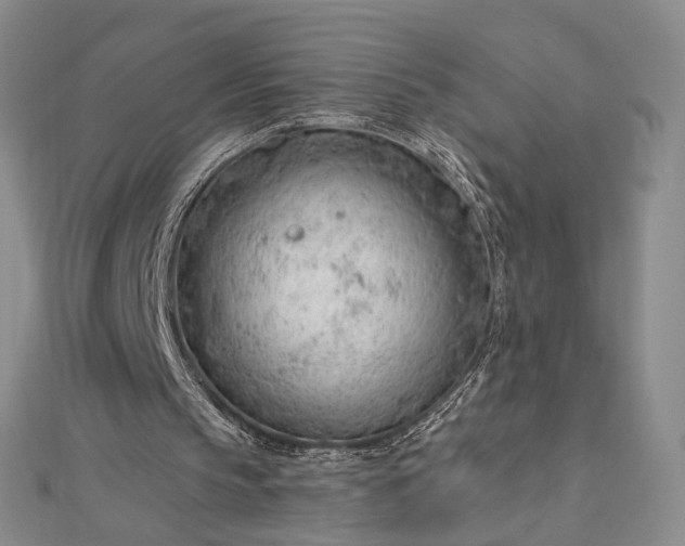 X0000112740145200909031513