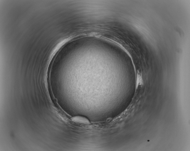 X0000112740147200909031513