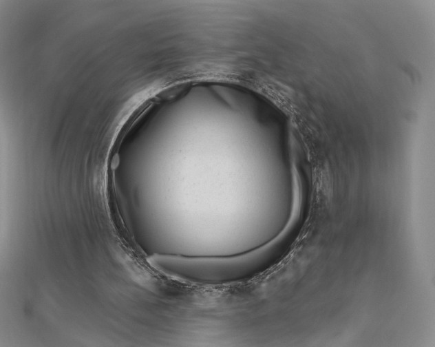 X0000112740148200909031513