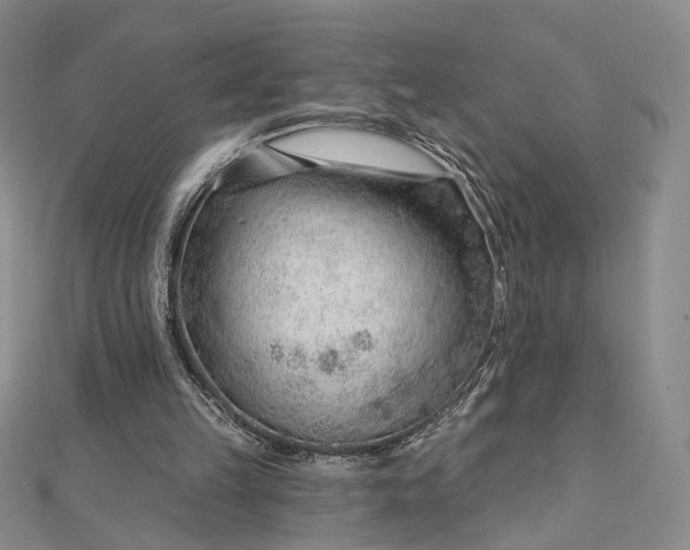 X0000112740149200909031513