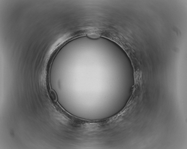 X0000112740150200909031513