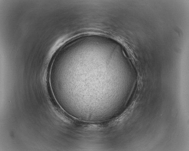 X0000112740151200909031513