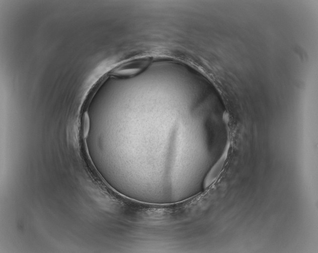 X0000112740152200909031513