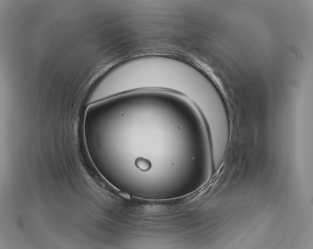 X0000112740154200909031513