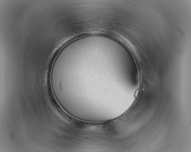 X0000112740155200909031513