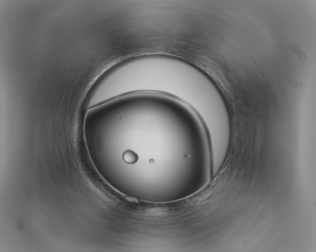 X0000112740156200909031513