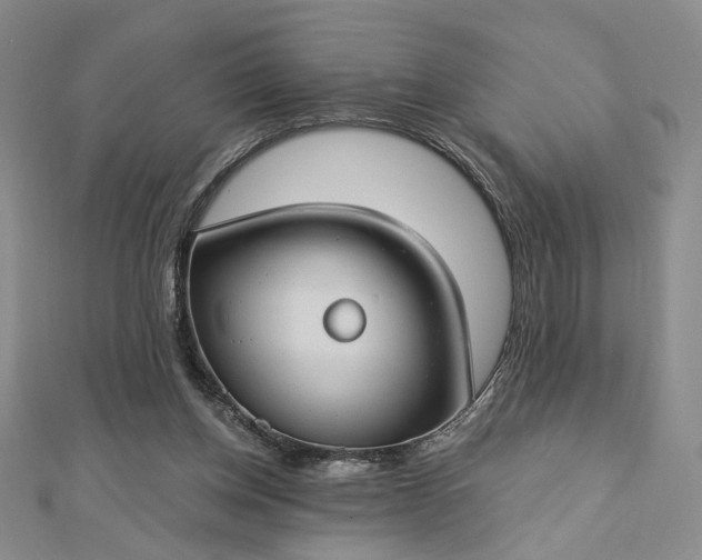 X0000112740158200909031513