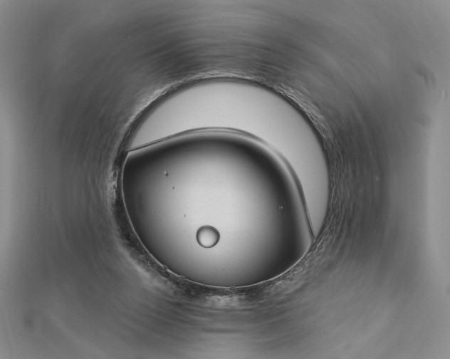 X0000112740160200909031513