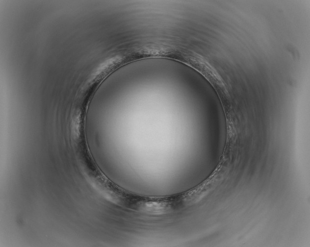 X0000112740163200909031513