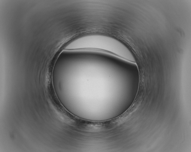 X0000112740164200909031513