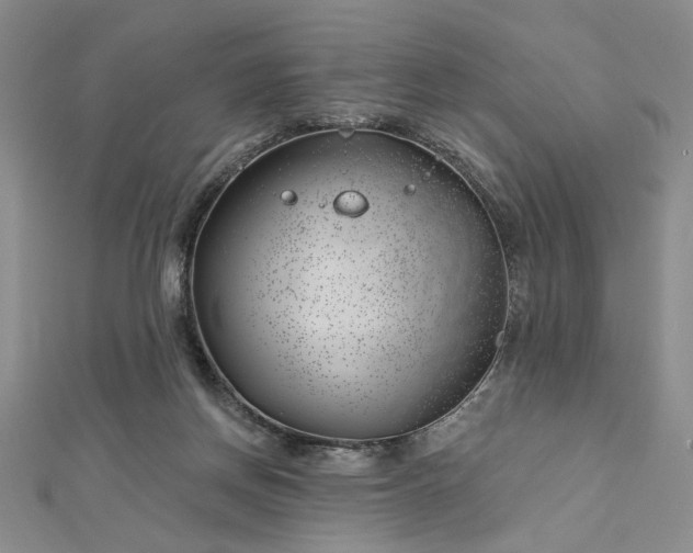 X0000112740166200909031513