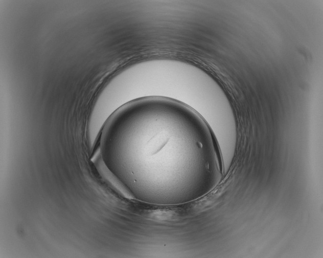 X0000112740168200909031513