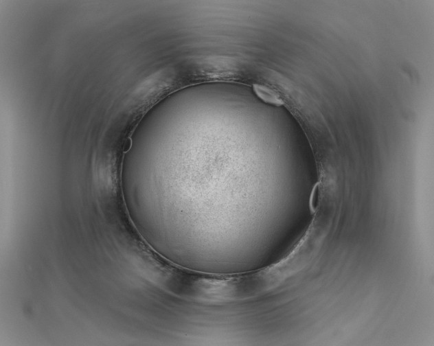 X0000112740170200909031513