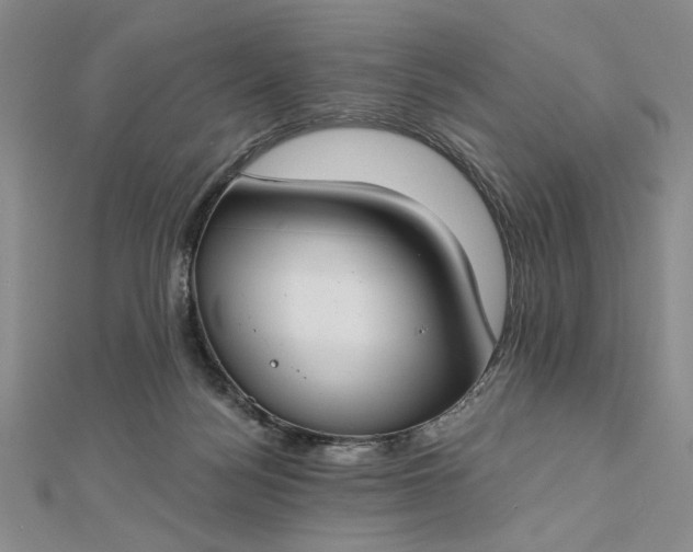 X0000112740172200909031513