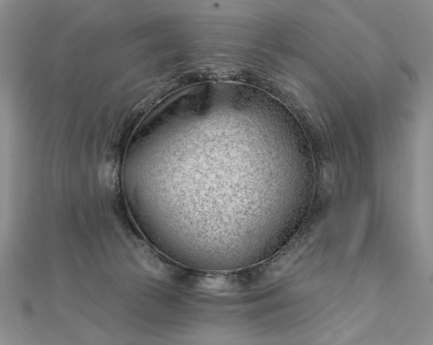 X0000112740177200909031513