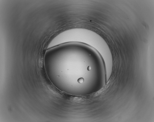 X0000112740180200909031513