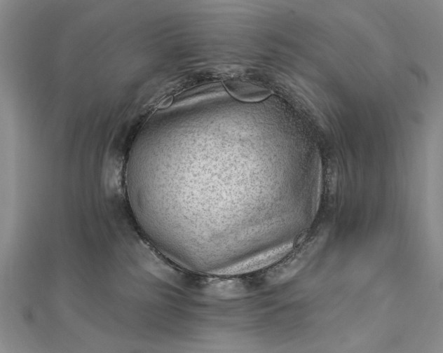 X0000112740185200909031513