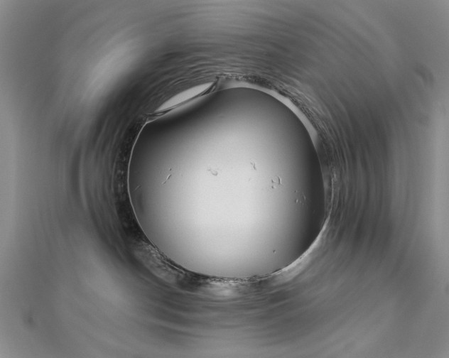 X0000112740190200909031513