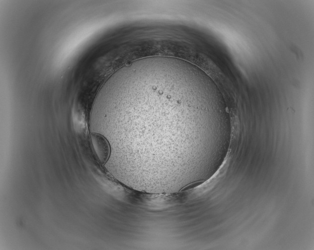 X0000112740191200909031513