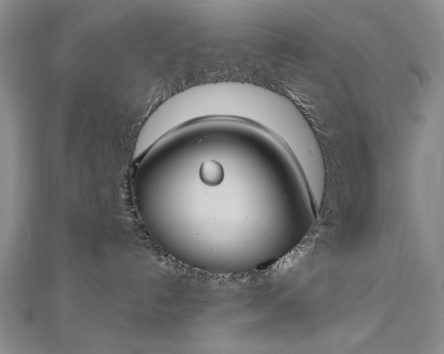 X0000112740192200909031513