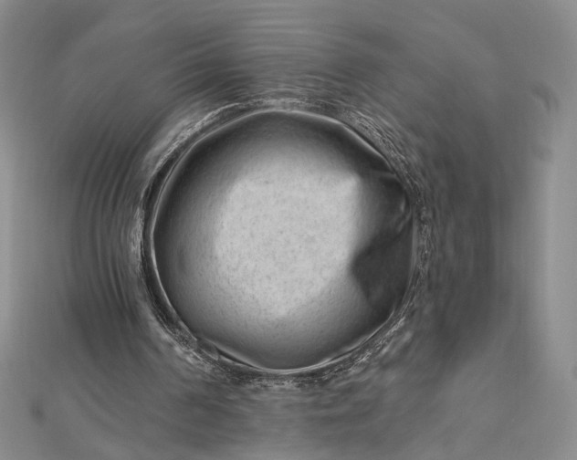 X0000112740194200909031513