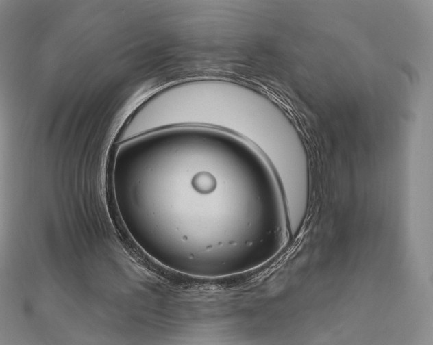 X0000112740195200909031513