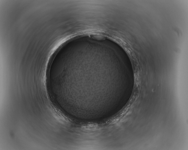 X0000112740196200909031513