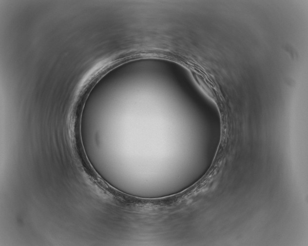 X0000112740197200909031513