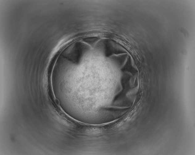 X0000112740198200909031513