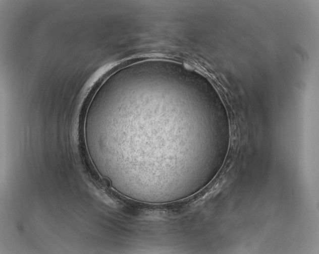 X0000112740200200909031513