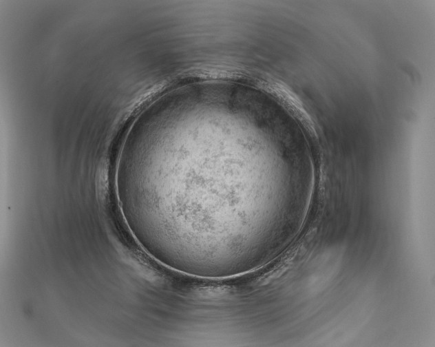 X0000112740202200909031513