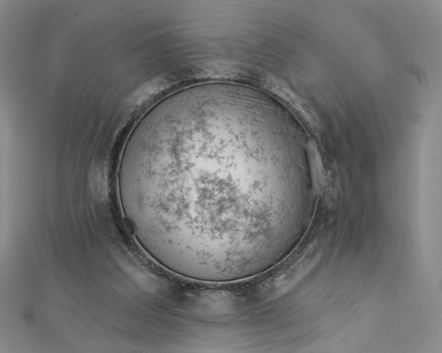 X0000112740203200909031513