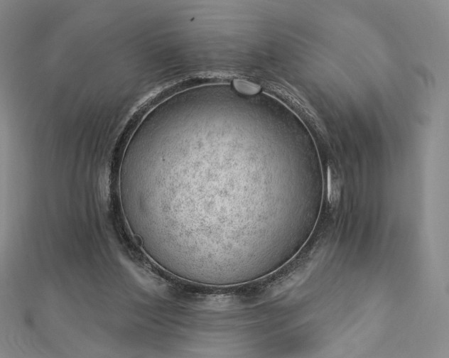 X0000112740204200909031513