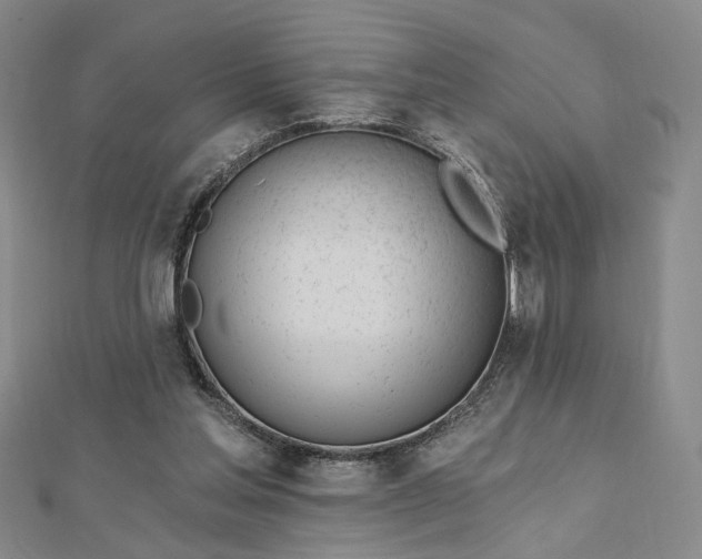 X0000112740205200909031513