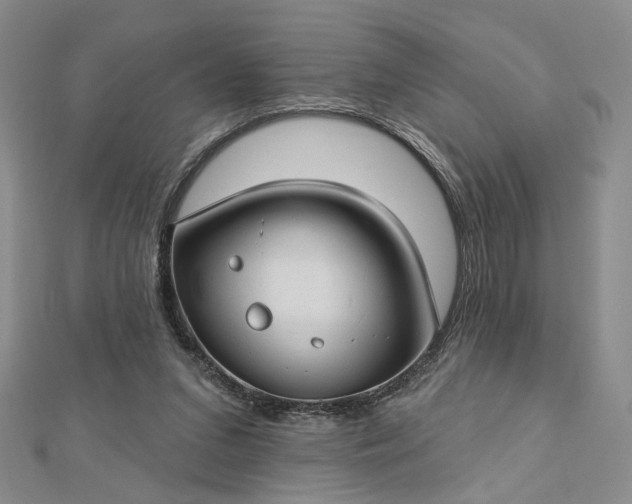 X0000112740207200909031513