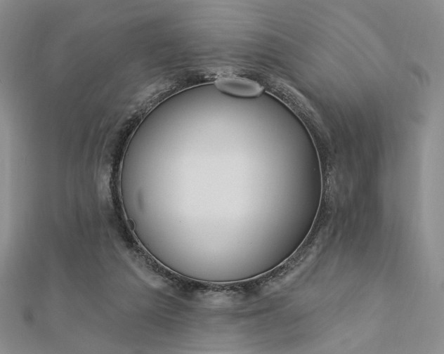 X0000112740209200909031513