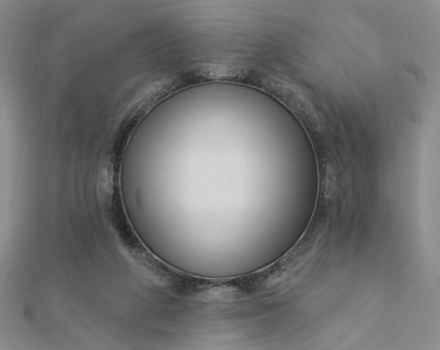 X0000112740210200909031513