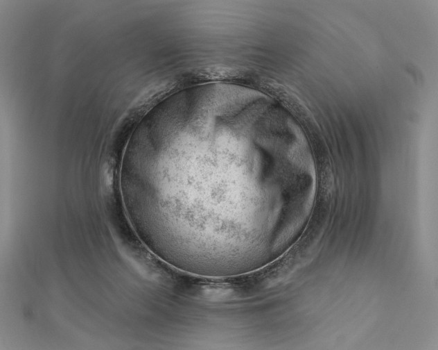 X0000112740214200909031513