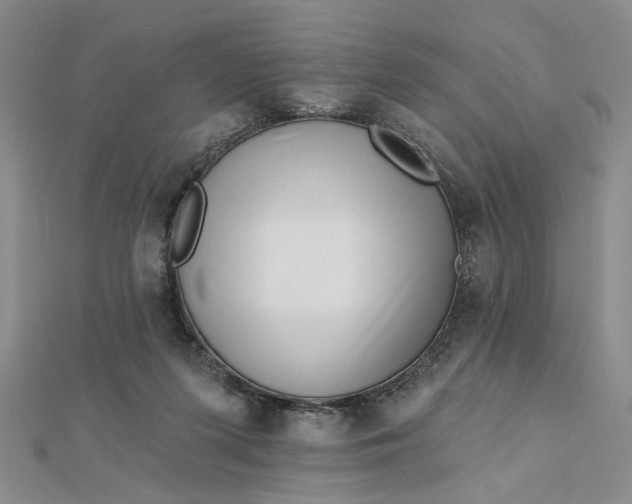 X0000112740215200909031513