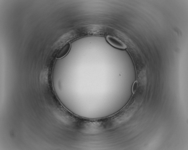 X0000112740217200909031513