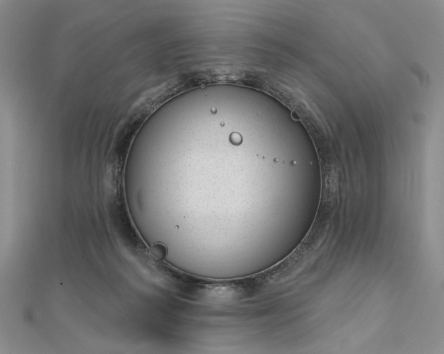 X0000112740218200909031513