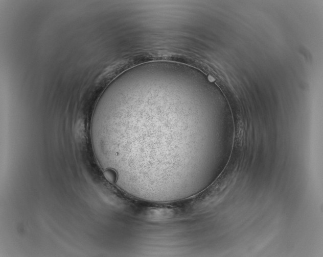 X0000112740220200909031513