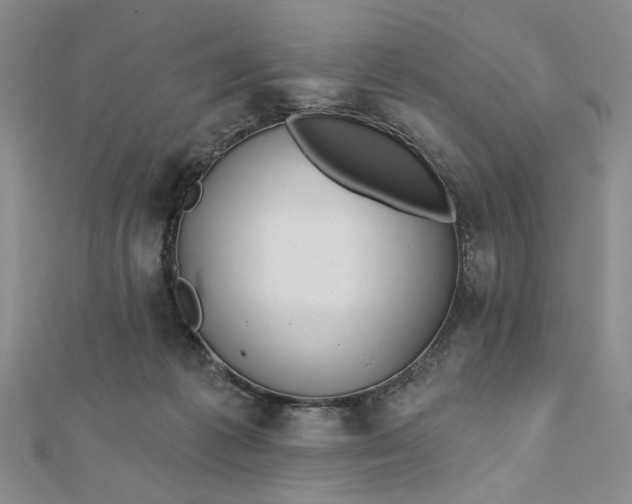 X0000112740221200909031513