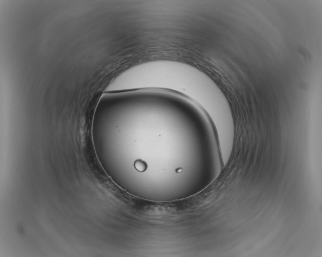 X0000112740223200909031512